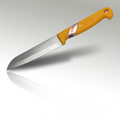 4'' Paring Knife Plastic Handle