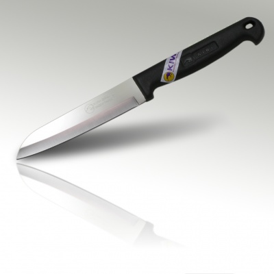 4'' Paring Knife Plastic Handle