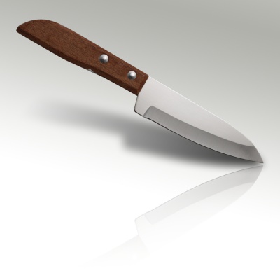 4'' Fruit Knife Wood Handle
