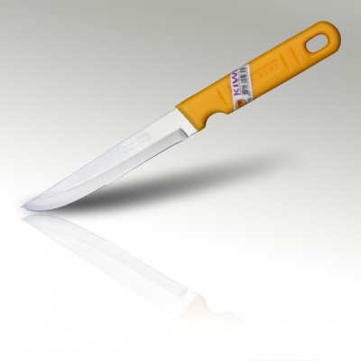 5'' Steak Knife Plastic Handle