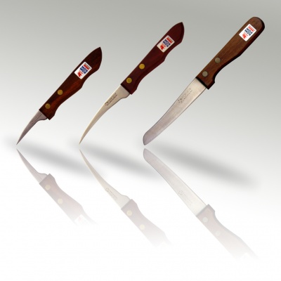 3 piece Set Fruit Carving Knife Wooden Handle (A)
